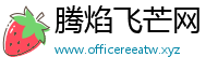 腾焰飞芒网