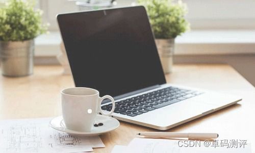 軟件企業偏愛外包測試的背后原因與費用揭秘